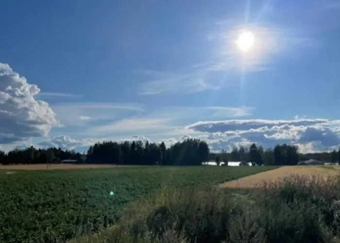 Modern Close To And Nature 公寓 Koylio